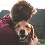 The closeness of dogs and people