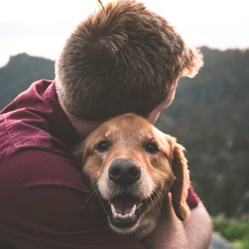 The closeness of dogs and people